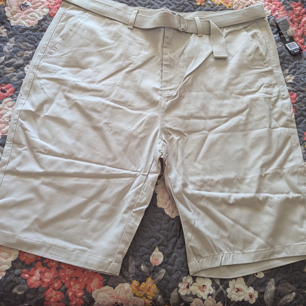 Tan Flat Front Casual Shorts